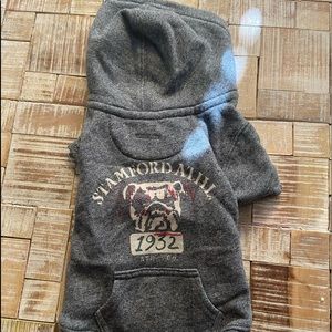 Polo athletic team dog sweater